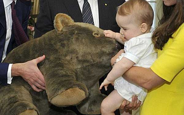 Prince george very happy to receive a wombat toy 3 times his size