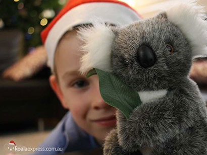 Boy in Christmas hat looking at Jimmy koala