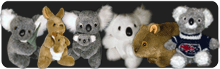 Koala Express Plush Stuffed Toys and Gifts